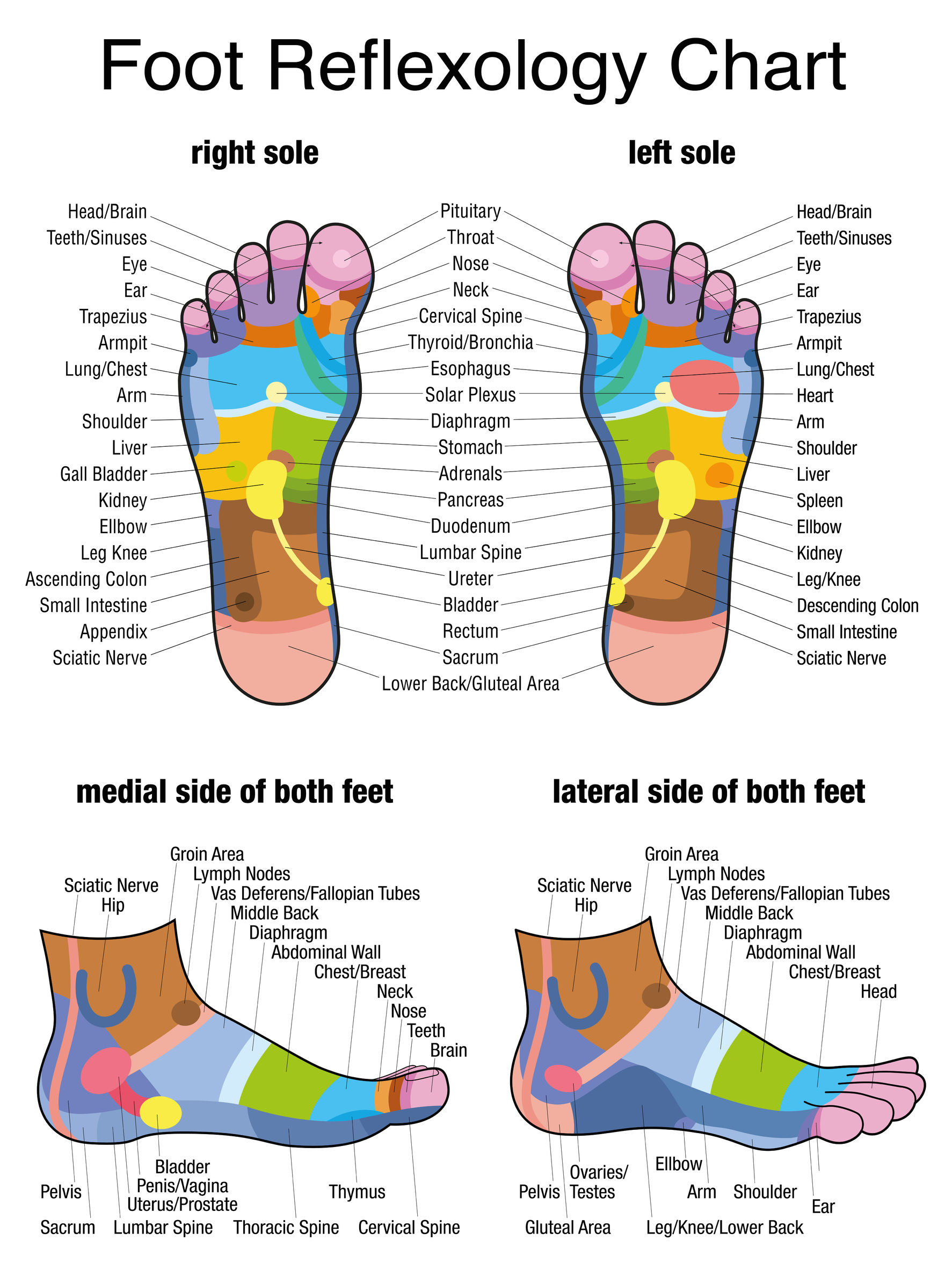 Reflexology That Lowers High Blood Pressure