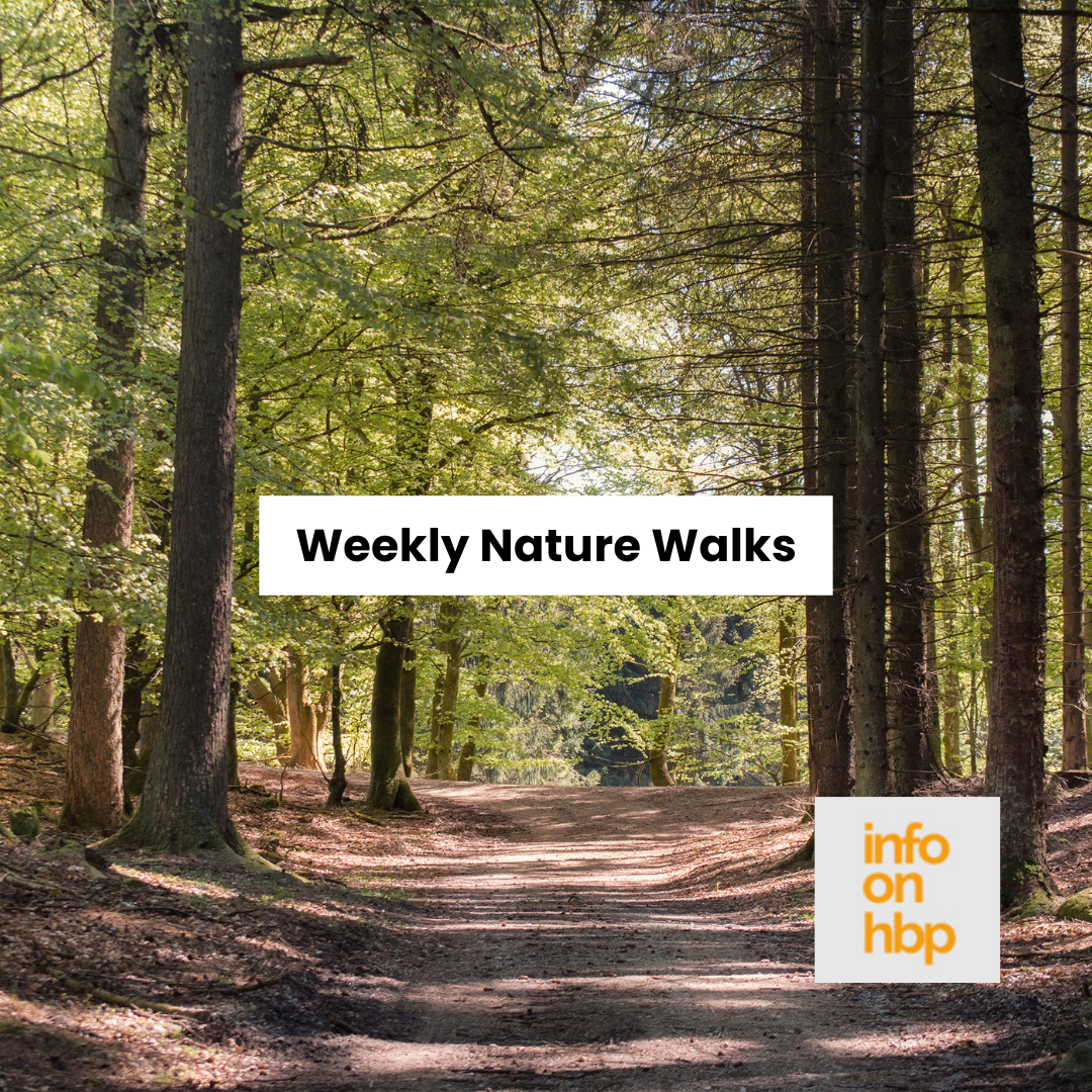 weekly nature walks.  https://www.info-on-high-blood-pressure.com/blood-pressure-breakthroughs.html