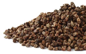 Cardamon Herb, https://www.info-on-high-blood-pressure.com/High-Blood-Pressure-Herbs.html