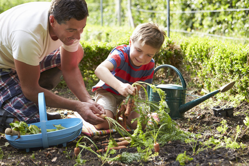 family gardening.  https://www.info-on-high-blood-pressure.com/discovering-family-wellness.html